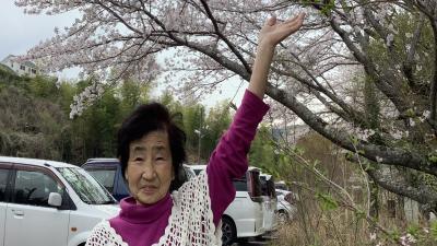 桜咲く＆メロディサポートタイム始動！